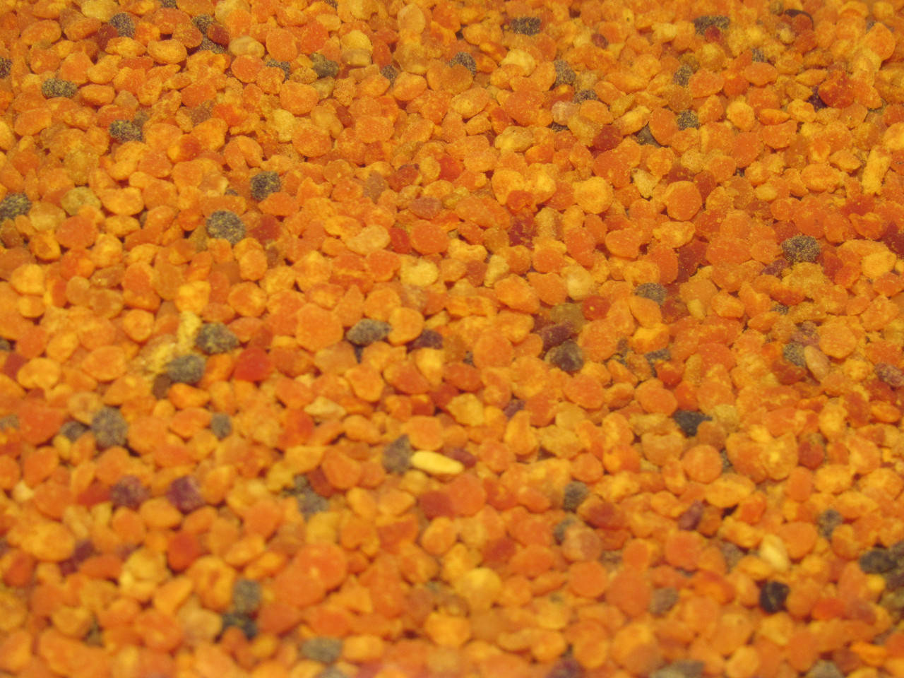 Пыльца, пчелиная обножка 100 грамм / Пилок, бджолине обніжжя 
Пыльца, пчелиная обножка 100 грамм / Пилок, бджолине обніжжя