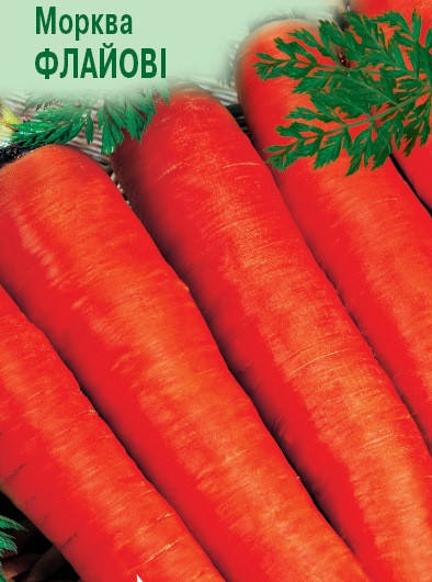 Морква Флайові
Морква Флайові