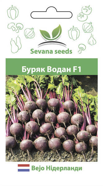 Семена свеклы столовой Водан F1 200 шт. Bejo
Семена свеклы столовой Водан F1 200 шт. Bejo