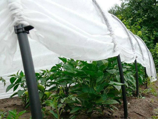 Парник 4м " Подснежник " оригинал, Белый
Парник 4м " Подснежник " оригинал, Белый