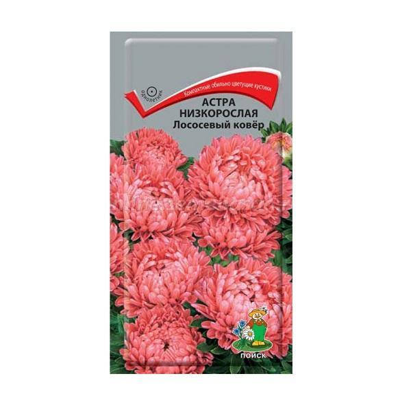 Семена Астра карликовая Лососевый Ковер 0,2 грамма Поиск
Семена Астра карликовая Лососевый Ковер 0,2 грамма Поиск