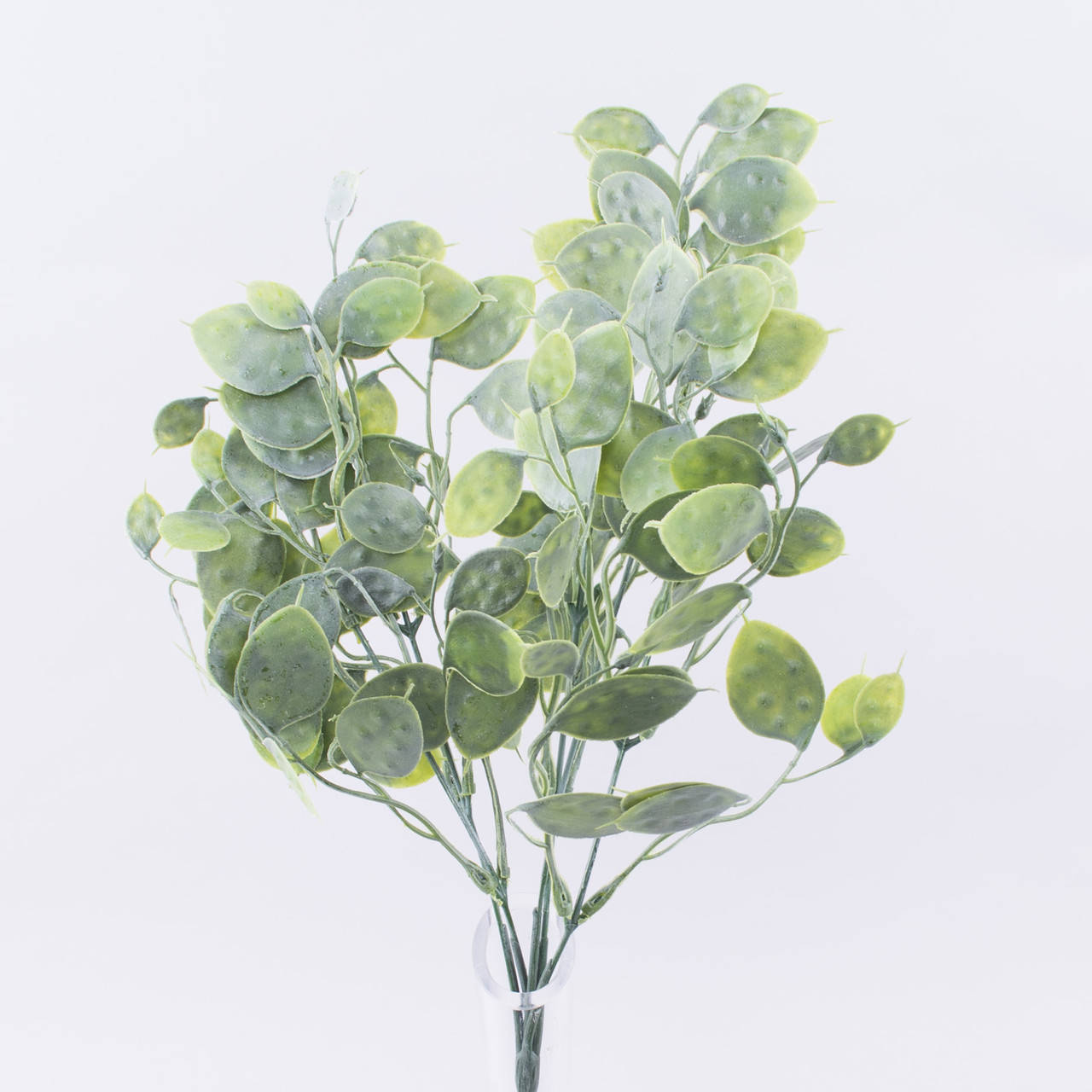 Букет травка доллар зеленый
Букет травка доллар зеленый