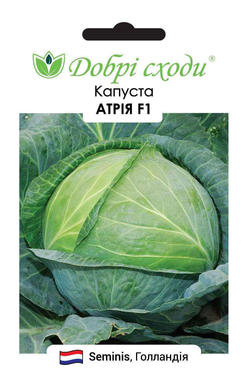 Добрі сходи. Семена Капуста Атрия F1, 20 сем
Добрі сходи. Семена Капуста Атрия F1, 20 сем