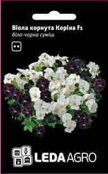 Семена виолы Корина F1, 10 шт., бело-черная смесь
Семена виолы Корина F1, 10 шт., бело-черная смесь