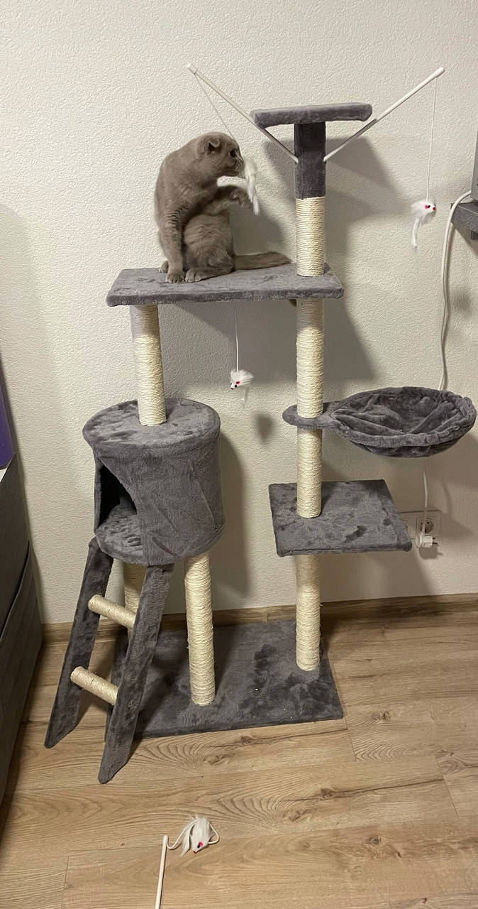 Когтеточка, домик для кота, дряпка для кошек FunFit Amy 1808 Польша
Когтеточка, домик для кота, дряпка для кошек FunFit Amy 1808 Польша