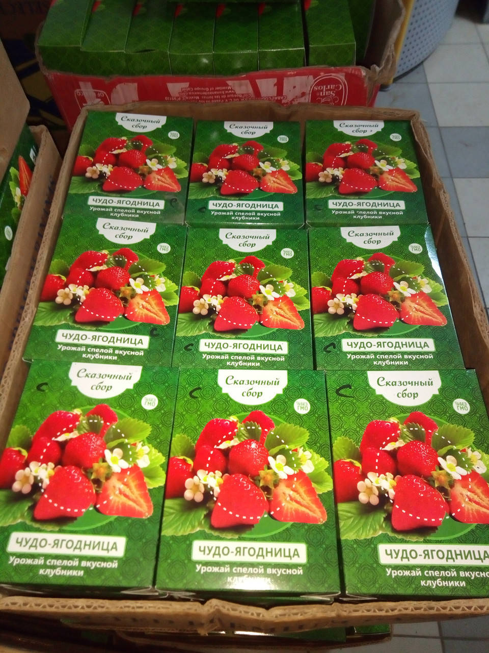 Чудо-ягодница Сказочный сбор – набор для выращивания клубники на подоконнике
Чудо-ягодница Сказочный сбор – набор для выращивания клубники на подоконнике