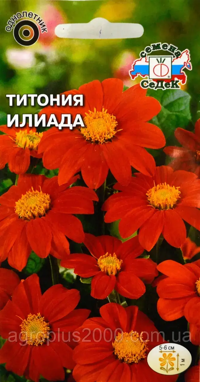 Семена Титония Илиада 0,5 граммов Седек, Красный
Семена Титония Илиада 0,5 граммов Седек, Красный