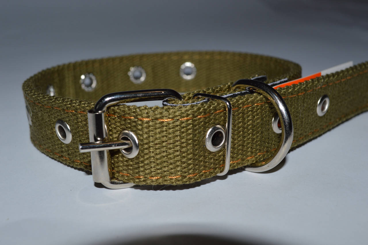 Нашийник брезент подвійний 30мм*39-57см, Зелёный
Нашийник брезент подвійний 30мм*39-57см, Зелёный