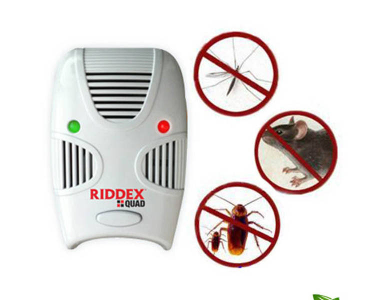 Отпугиватель тараканов, грызунов насекомых riddex quad pest repelling aid Отпугиватель тараканов, грызунов нас
Отпугиватель тараканов, грызунов насекомых riddex quad pest repelling aid Отпугиватель тараканов, грызунов нас