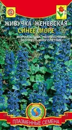 Семена Живучка женевская Синее море 10 семян Агроника, Синий
Семена Живучка женевская Синее море 10 семян Агроника, Синий