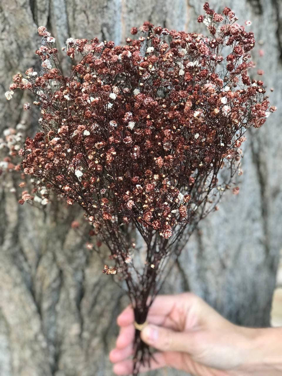 

Стабилизированная гипсофила