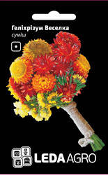 

Семена гелихризума Радуга, 0,2 гр., смесь