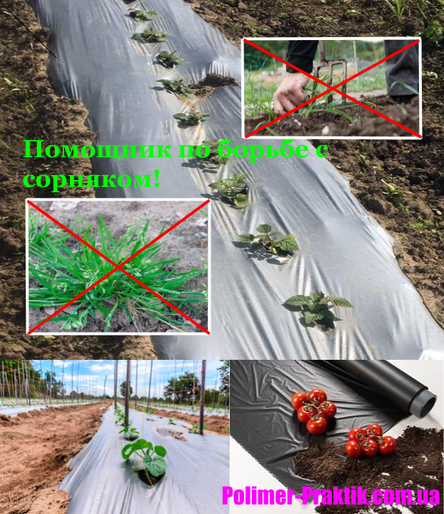 

Черная пленка от сорняков 700*30мкн*1000м.п, Черный