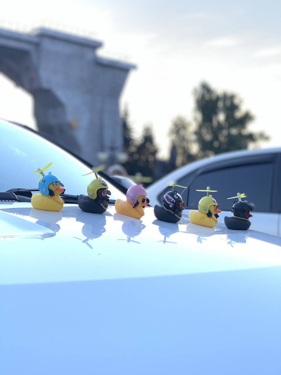 

Уточка резиновая в автомобиль в подарочной упаковке - крутой автоаксессуар и подарок