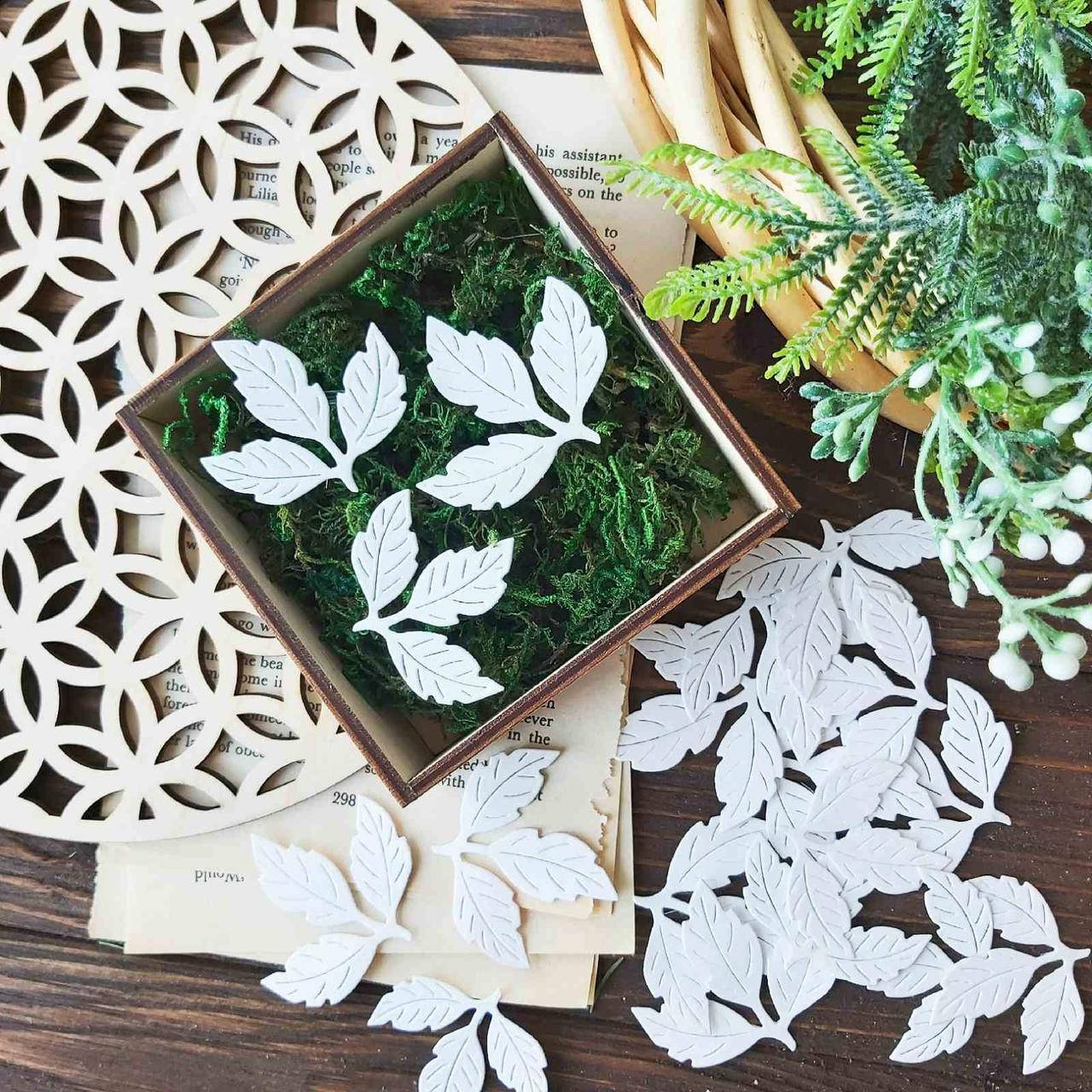 

Вырубка Набор Весенние листики белые