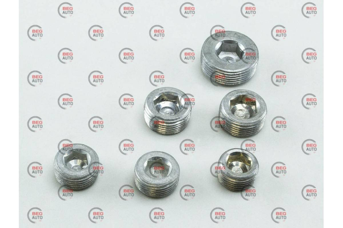 

Заглушка головки блока 2101 (к-кт 6шт) ЗАВОД