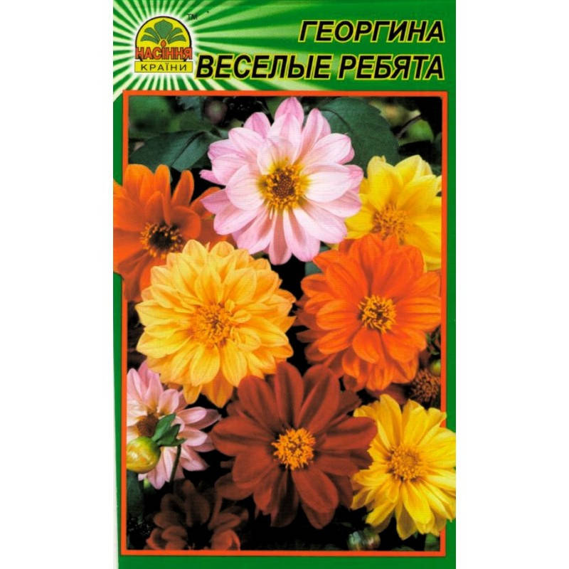 

Семена Георгина Веселые ребята 15 шт.