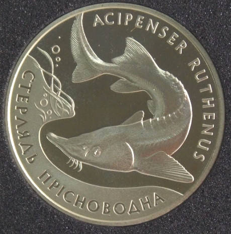 

Монета Украины 2 грн. 2012 г. Стерлядь