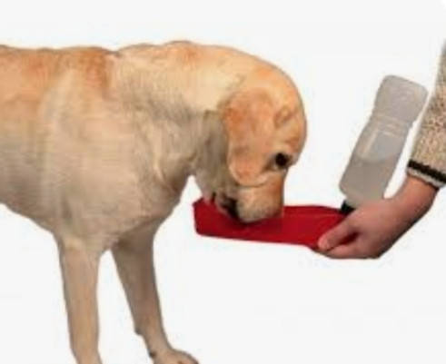 

Поилка дорожная для собак и кошек Trixie 2461, 500 мл