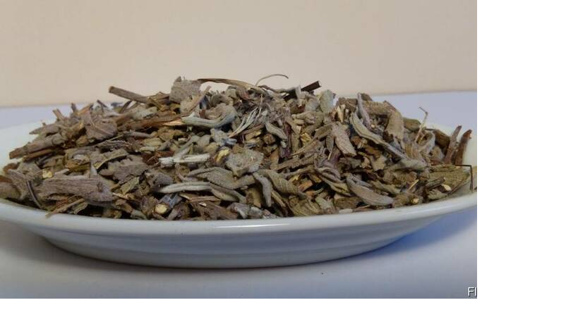 

Шалфей лекарственный трава шавлии