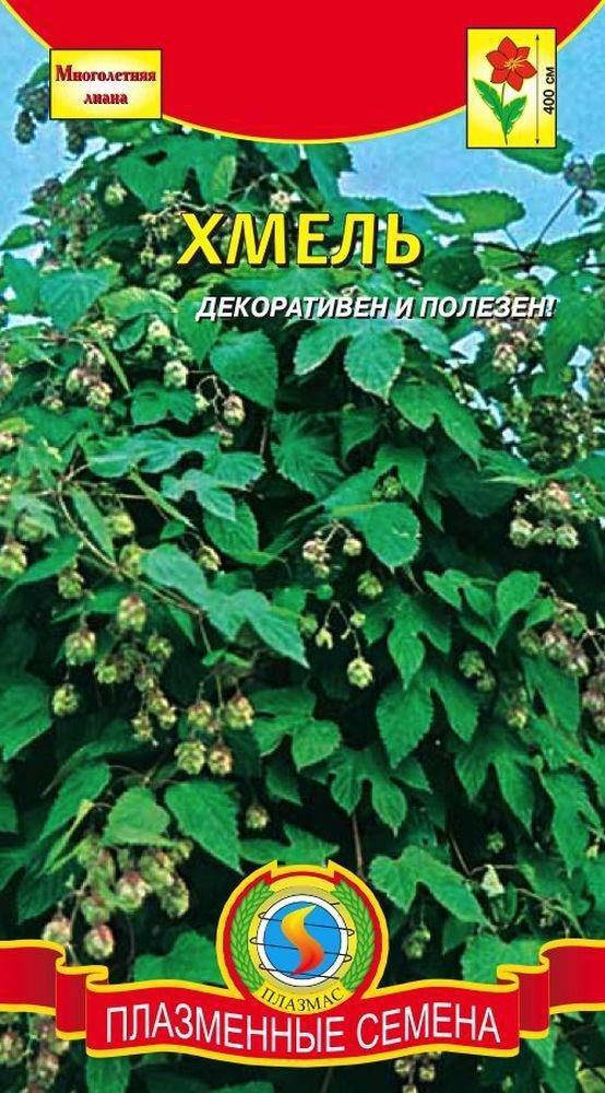 

Хмель лазающий 4 шт (Плазменные семена)