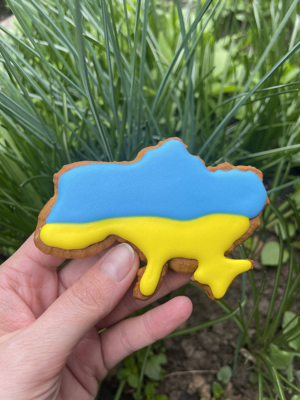 

Вырубка Карта Украины, 10*15см