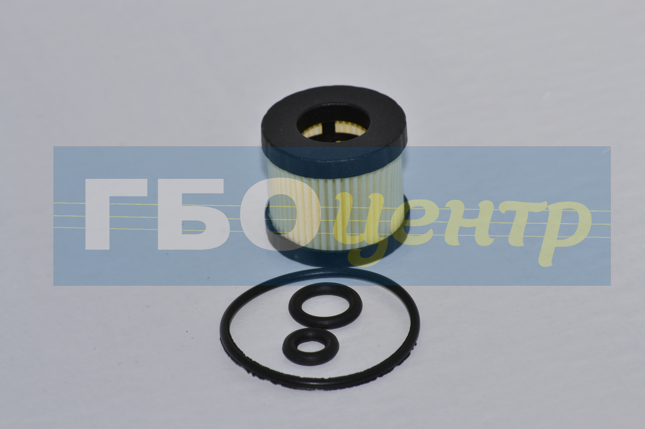 

Фільтр в газовий клапан ATIKER 1306, 1308 / Фильтр в газовый клапан ATIKER 1306, 1308