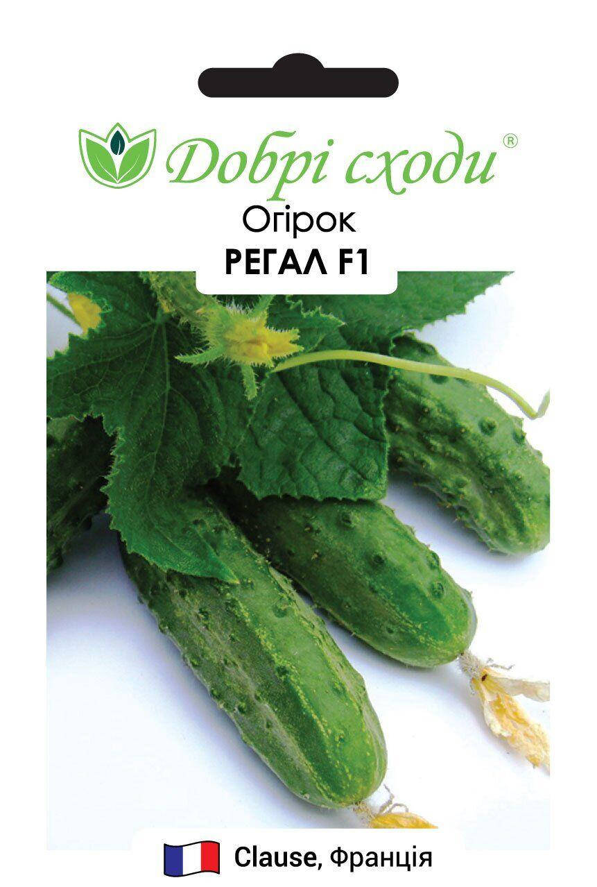 

Добрі сходи. Семена огурец Регал F1, 20 сем