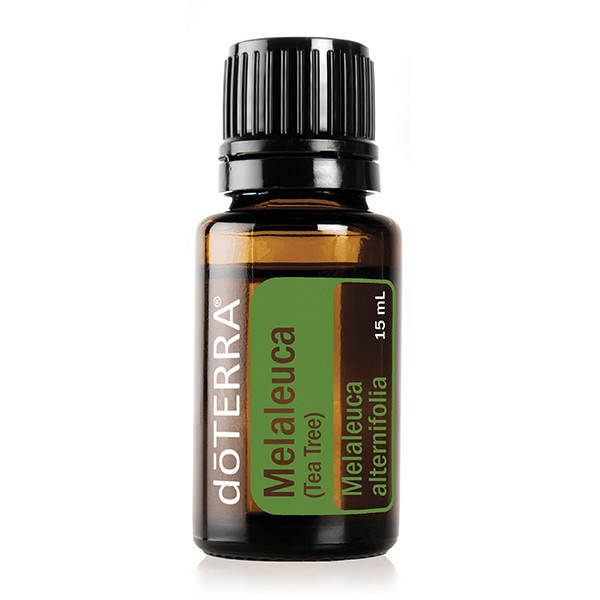 

MELALEUCA ESSENTIAL OIL / Чайное дерево (Melaleuca alternifolia), эфирное масло, 15 мл