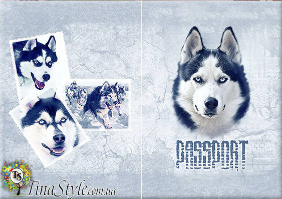 

Обложка обкладинка на паспорт Хаски Хаскі Собака України Украина Україна