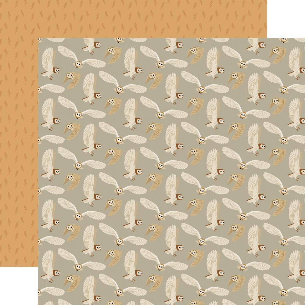 

Папір двосторонній - Owls - Witches & Wizards - Echo Park - 30x30
