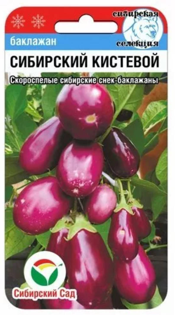 

Насіння баклажанів Сибірський кистьовий 20шт Сибірський Сад