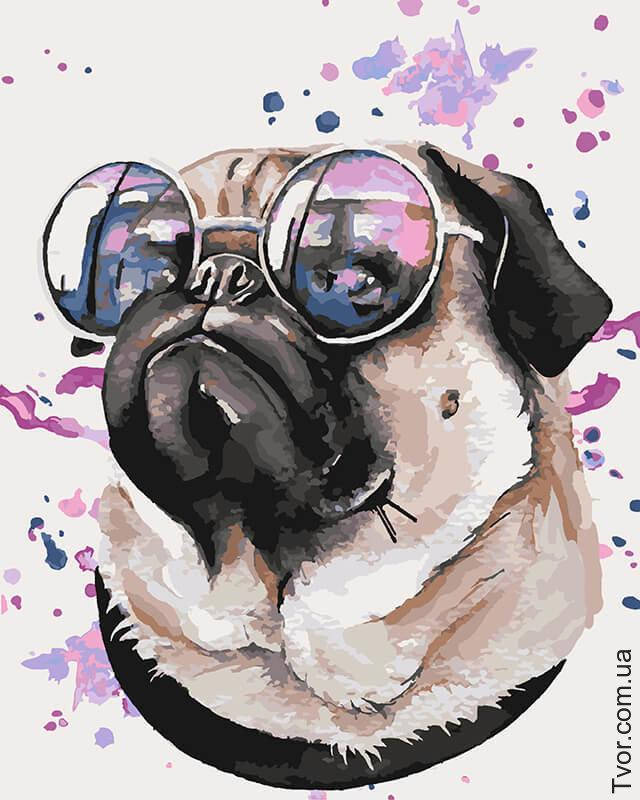 

Картины по номерам Задавака