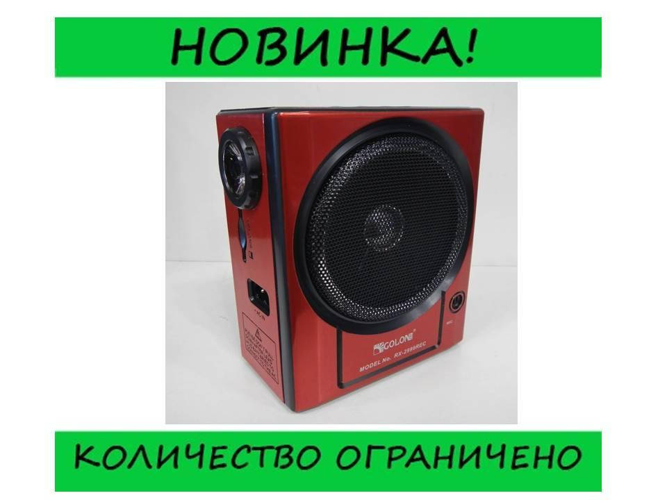 

Приемник Golon RX-2999 MIC! Идеально