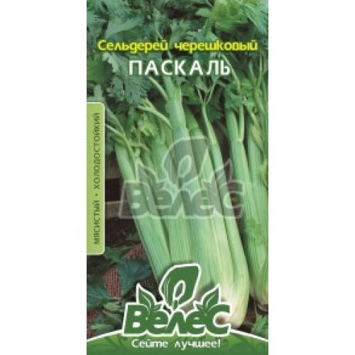 

Семена сельдерея черешкового Паскаль 0,5 г ТМ ВЕЛЕС