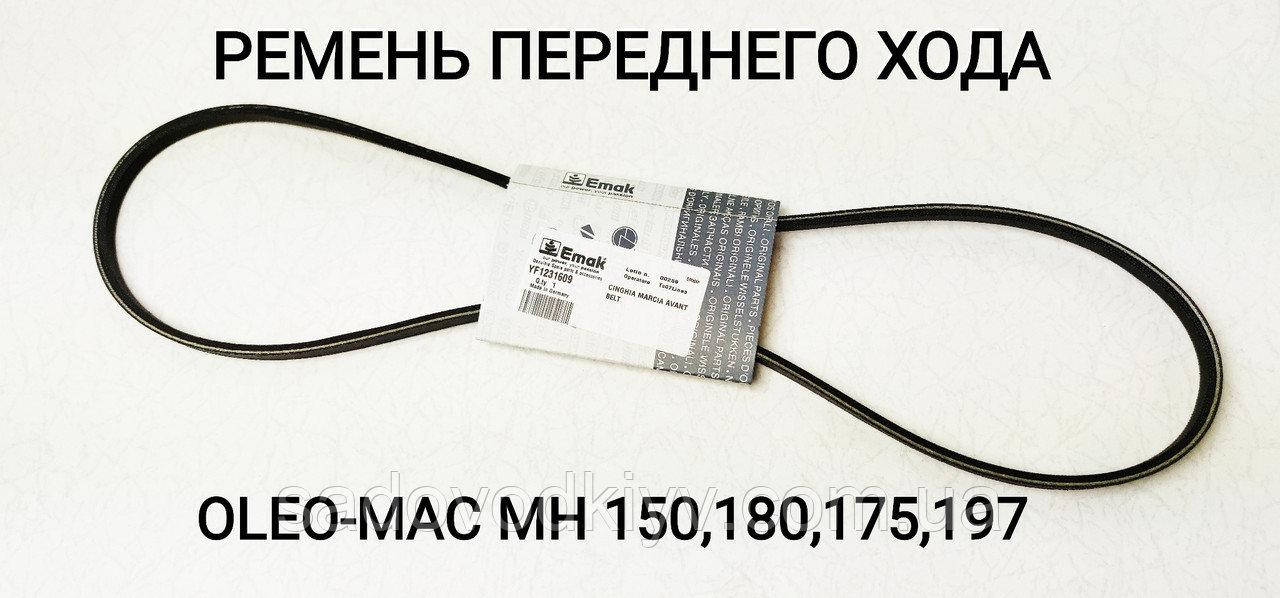 

Ремень переднего хода для культиватора Oleo-Mac MH 150 RKS (YF1231609)