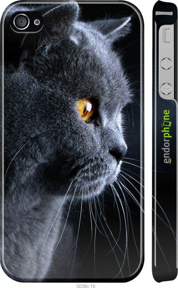 

Чехол на iPhone 4s Красивый кот "3038c-12-56402", Черный