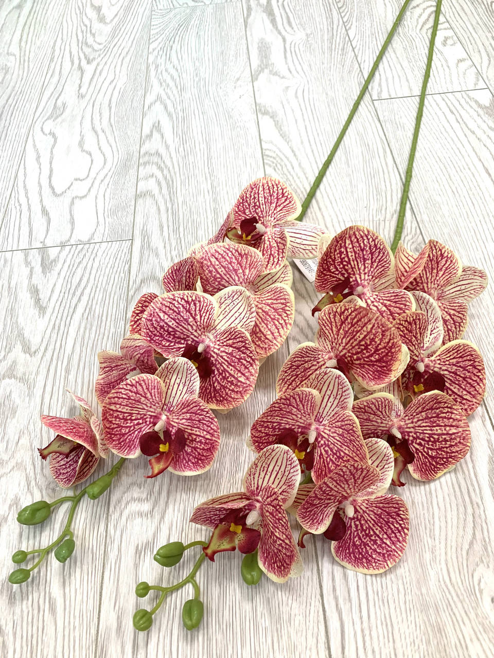 

Искусственная орхидея фаленопсис ( Сатин 95 см )