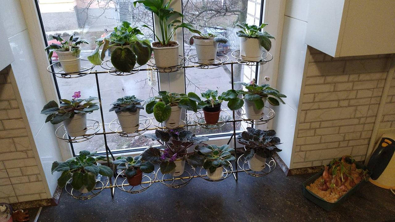 

Фиалка-6, подставка для цветов на 15 чаш