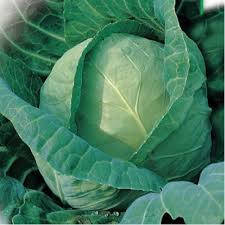 

Семена капусты Золотой гектар