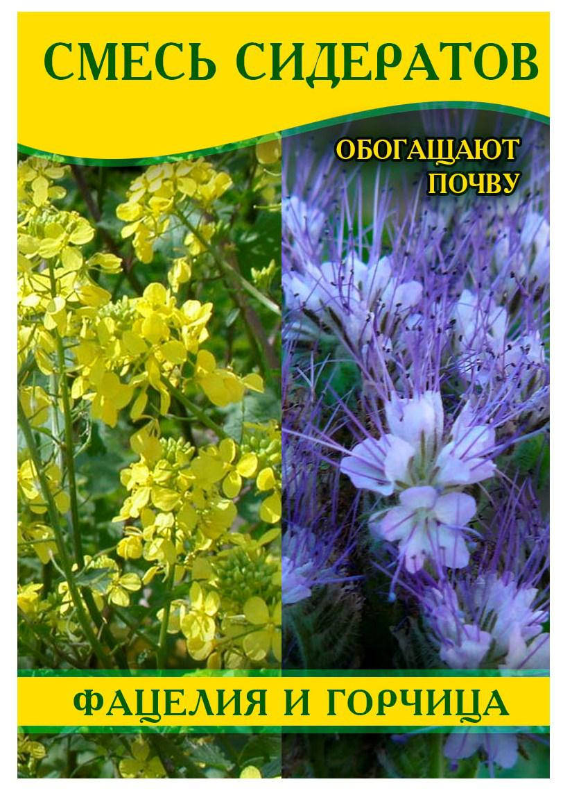 

Семена Смесь Сидератов (фацелия+Семена горчицы), 1кг