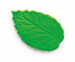 

Набір "Листочки" L 35