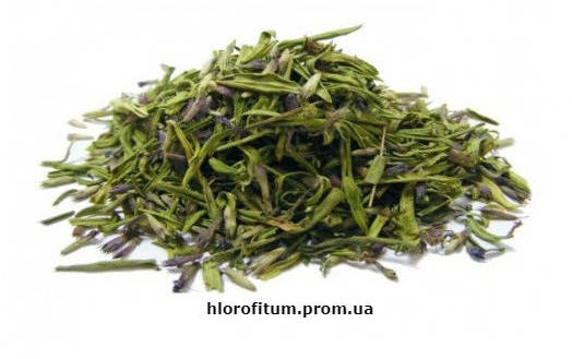 

Иссоп лекарственный, трава Иссопа 50 грамм / (Hyssopus officinalis)