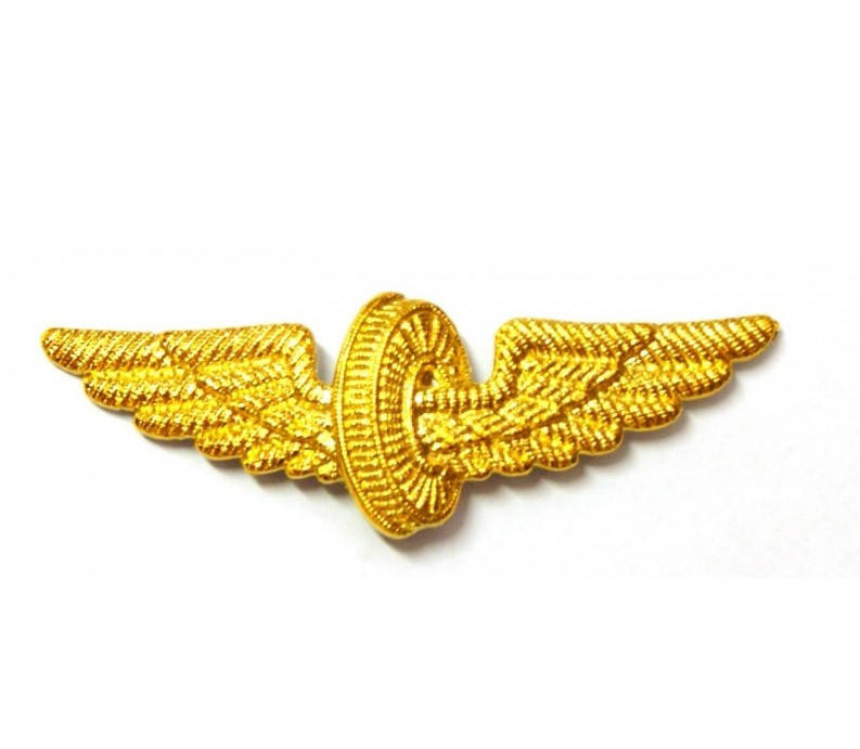 

Нагрудный знак ЖД