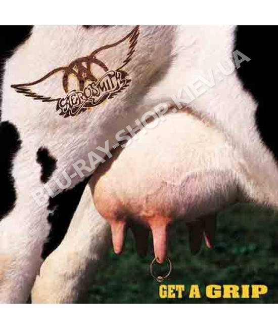 

Aerosmith ‎– Get A Grip (1993)