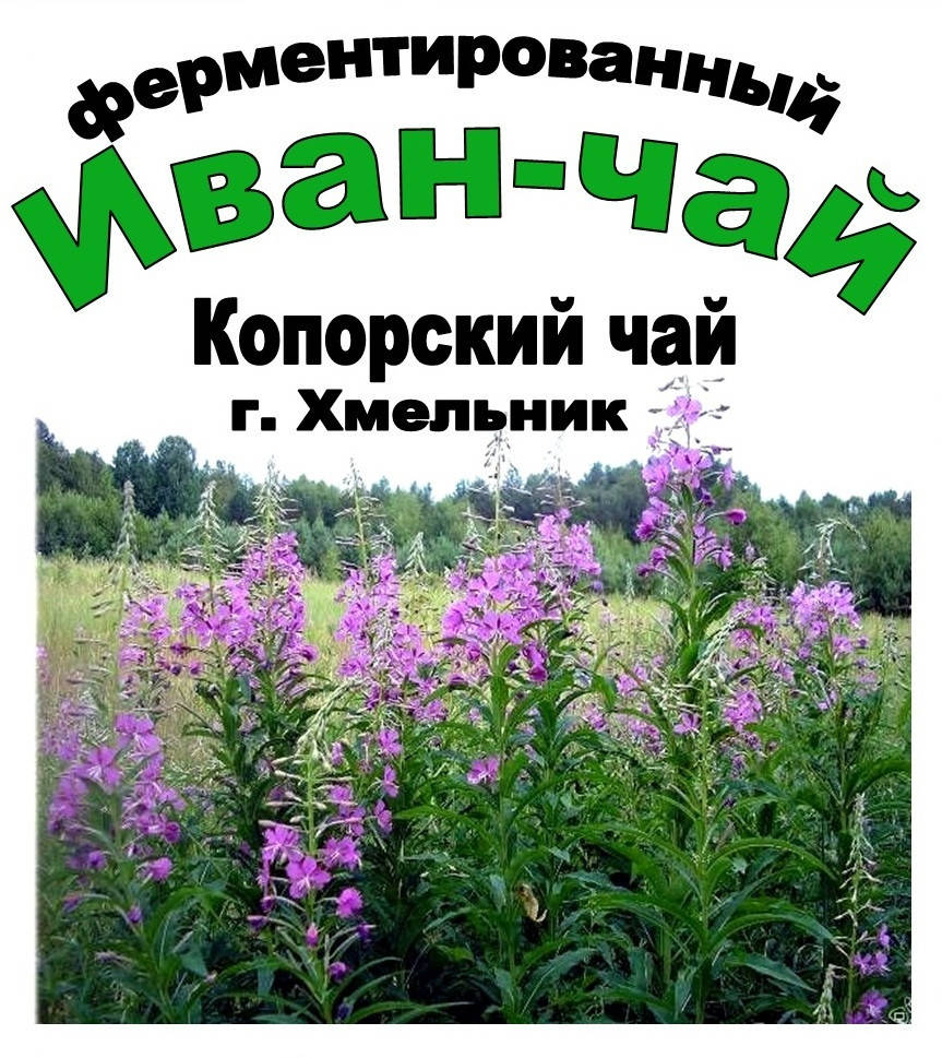 

Иван-чай ферментированный (черный), 100 грамм