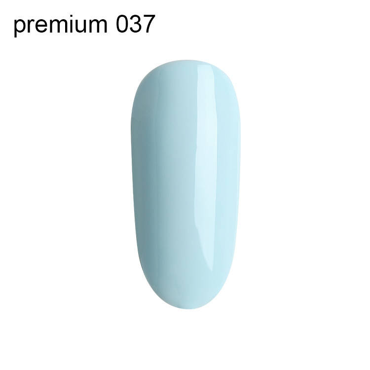 

Гель лак Premium 10мл №037