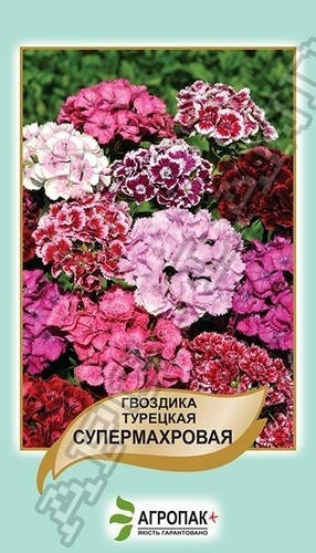 

Гвоздика турецкая Супермахровая - 0,5 грамм А