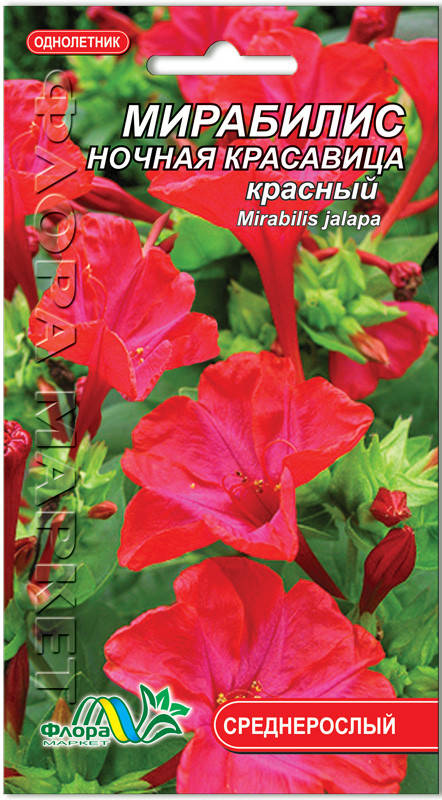

Семена цветов Мирабилис ночная красавица красный Флора маркет