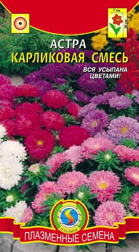 

Астра Карликовая смесь 0,3 г (Плазменные семена)